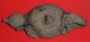 Designer lotus root Tea-cup (Top view)